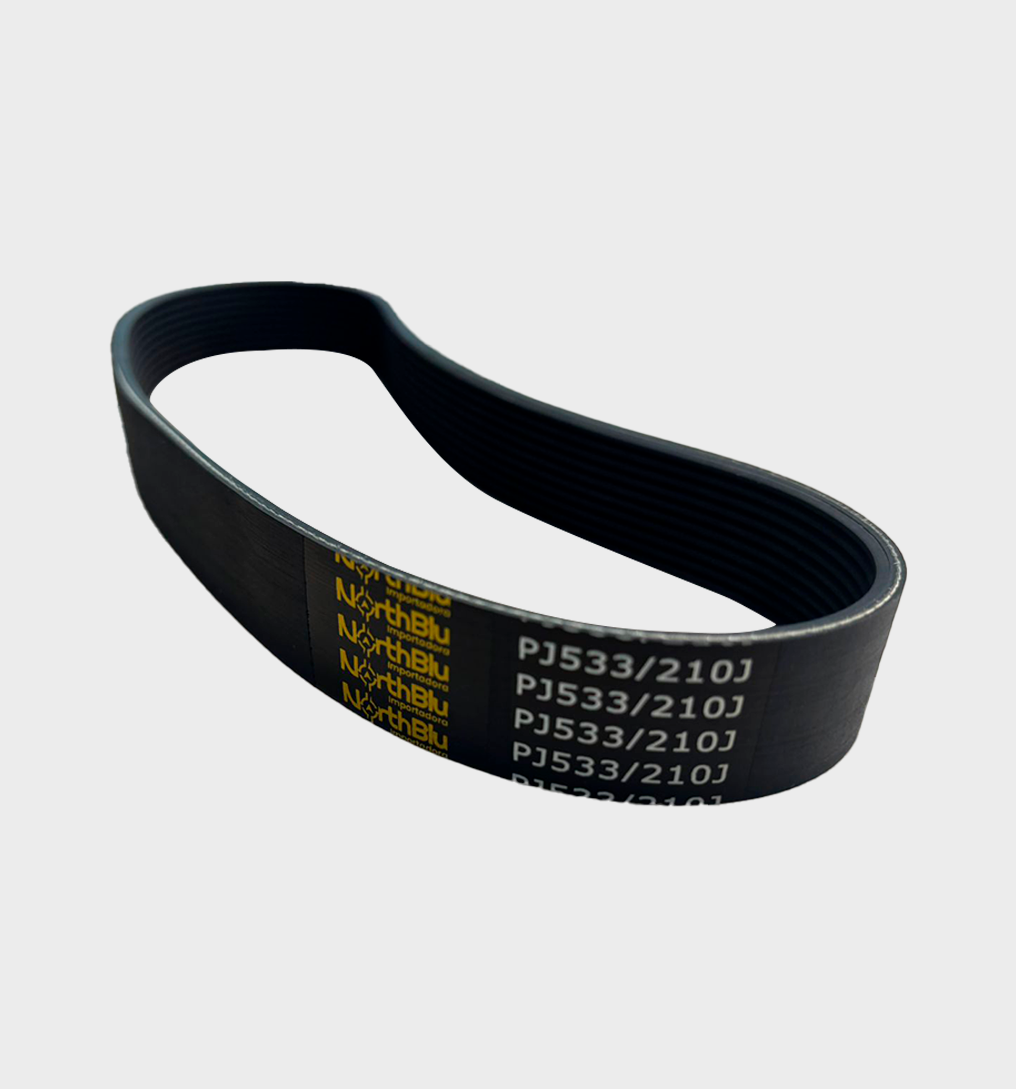 Correia PJ - Imagem 2